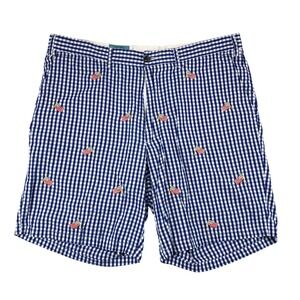 Castaway Nantucket Gingham Shorts American Flag Embroidered Preppy Mens Size 35‎